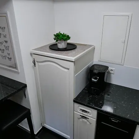 Helles 2-zimmer-apartment In Ostin Am Tegernsee גמונד אם טגרנזה