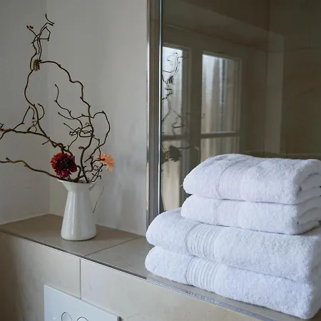 Helles 2-zimmer-apartment In Ostin Am Tegernsee גמונד אם טגרנזה